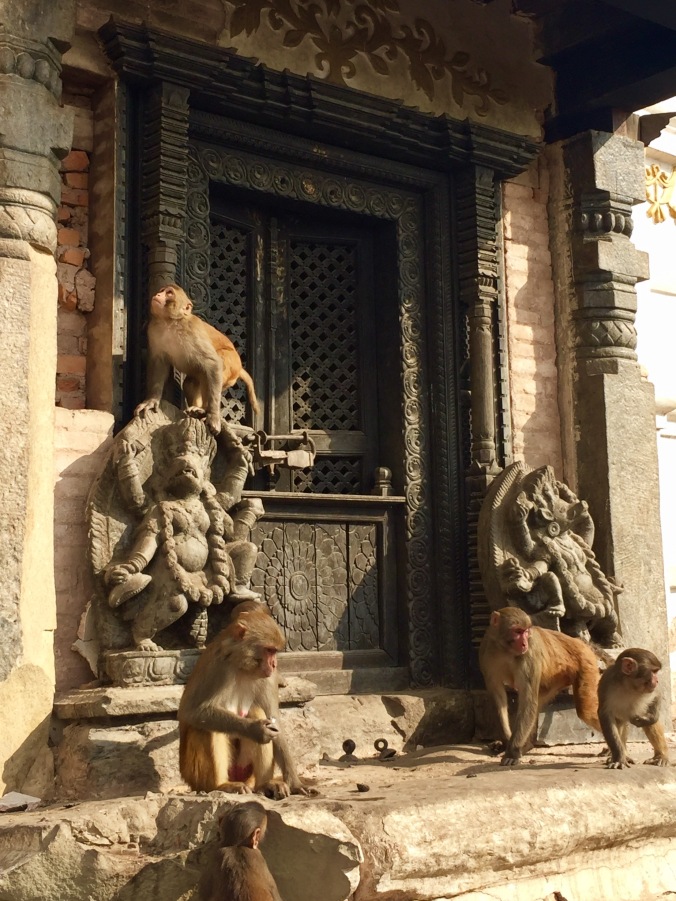 monkey-temple
