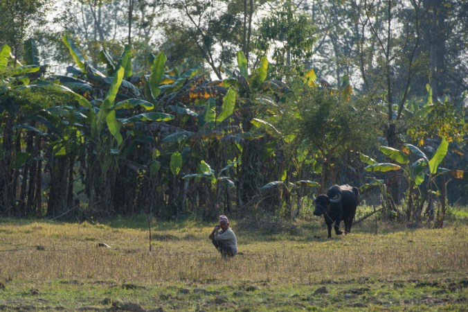 peaceful-village-life